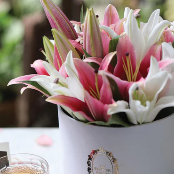 Lilies – Classic Ronde
